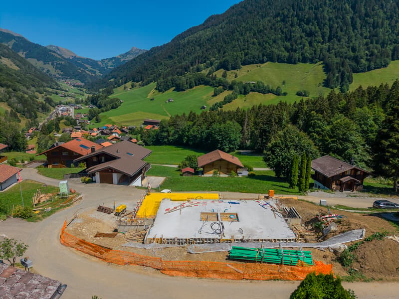 New project: experiencing alpine beauty in everyday life (5)