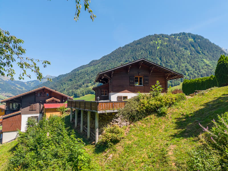 Living in harmony with nature: 4½-room chalet in a quiet location (2)