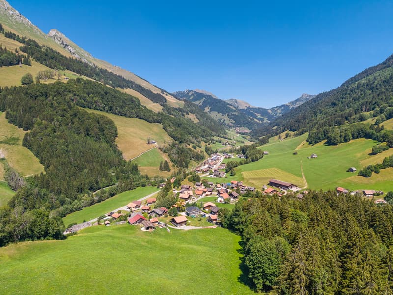 Living in harmony with nature: 4½-room chalet in a quiet location (6)