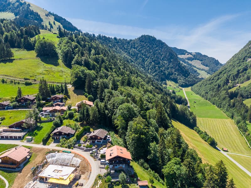 Living in harmony with nature: 4½-room chalet in a quiet location (5)