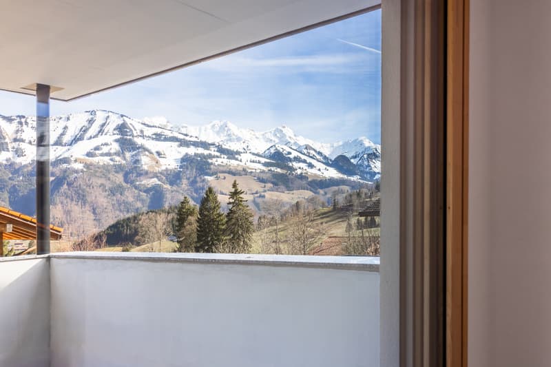 Dernière opportunité : appartement neuf de 4½ pces avec vaste (5)