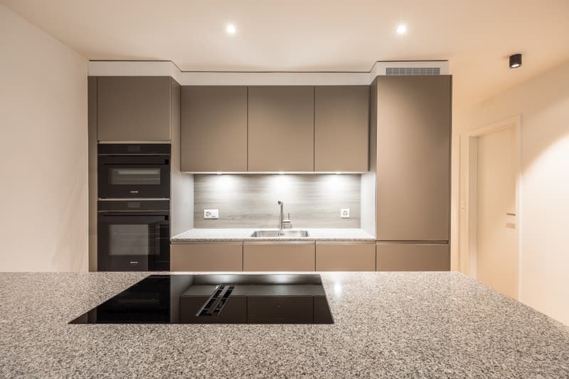Dernière opportunité : appartement neuf de 4½ pces avec vaste (7)