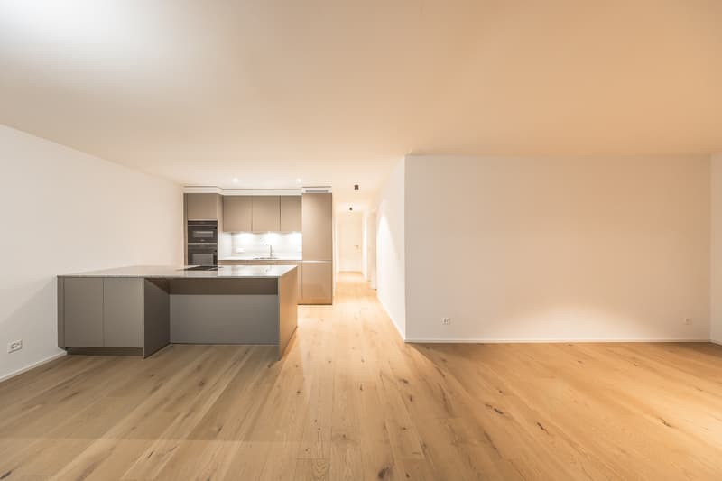 Dernière opportunité : appartement neuf de 4½ pces avec vaste (8)