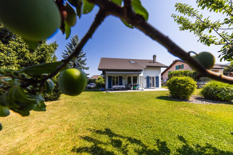 Villa individuelle sur splendide parcelle arborée (1)
