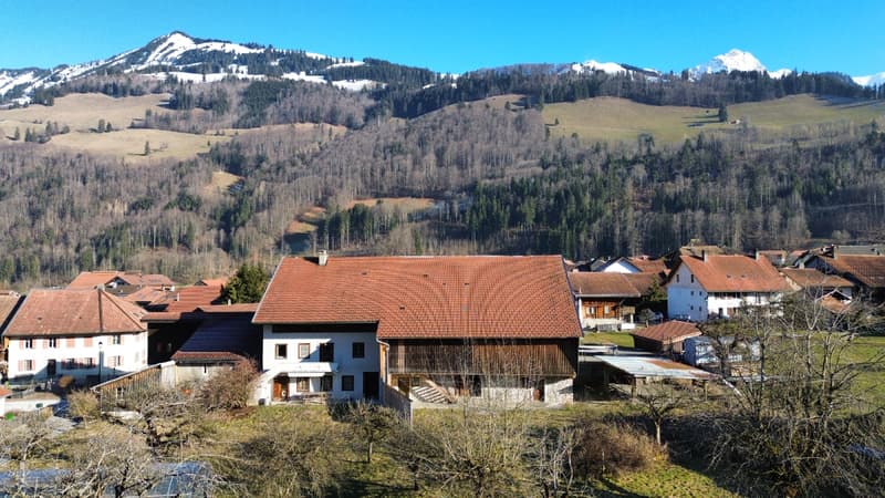 Appartement neuf de 3½ pièces, alliant modernité et patrimoine (2)