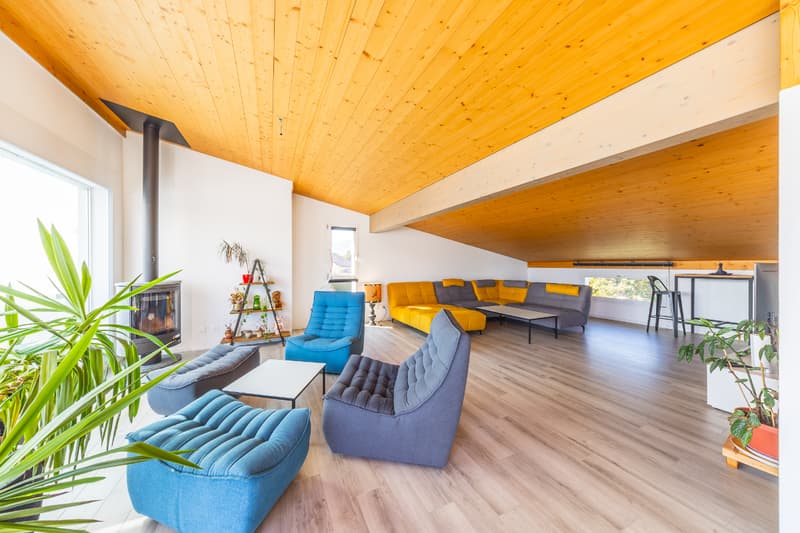 Rare à la vente : attique en duplex avec vaste terrasse (6)