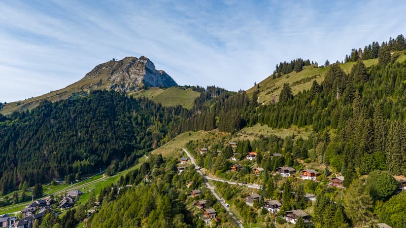 Une parenthèse de tranquillité en lisière de forêt et au pied du (1)