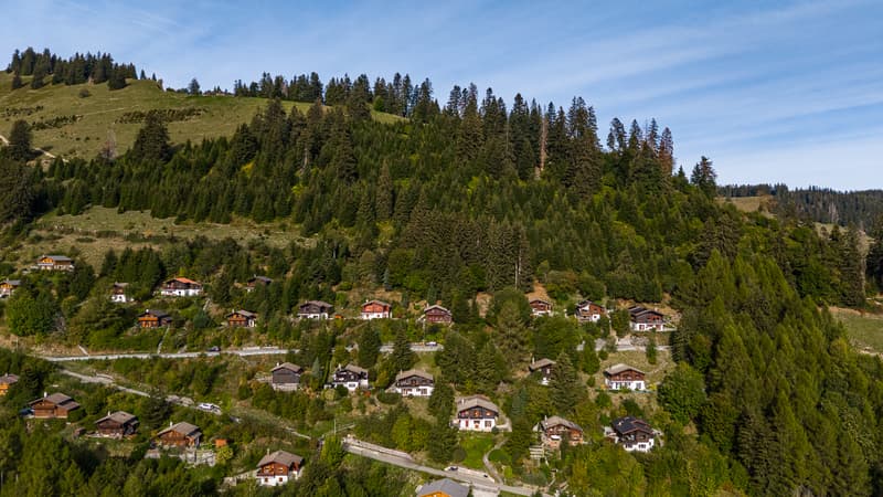 Une parenthèse de tranquillité en lisière de forêt et au pied du (2)