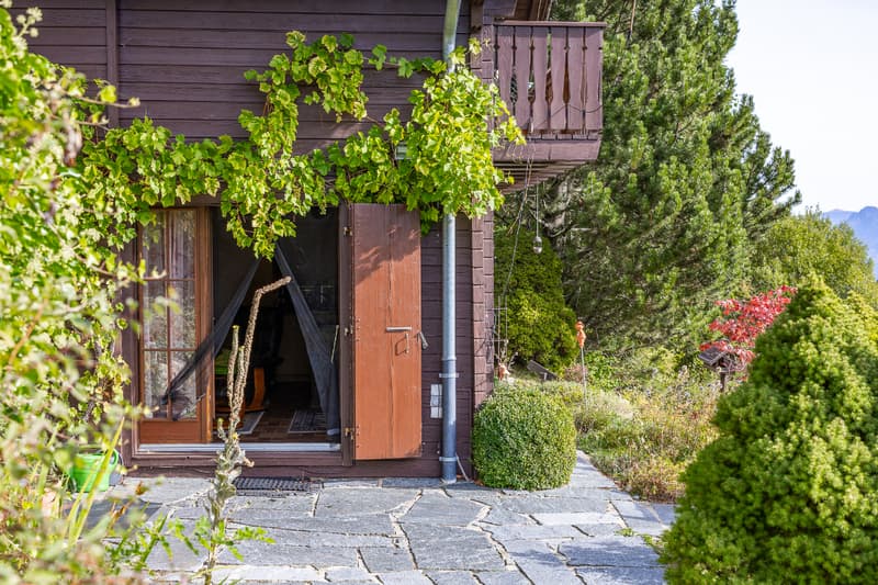 Une parenthèse de tranquillité en lisière de forêt et au pied du (6)