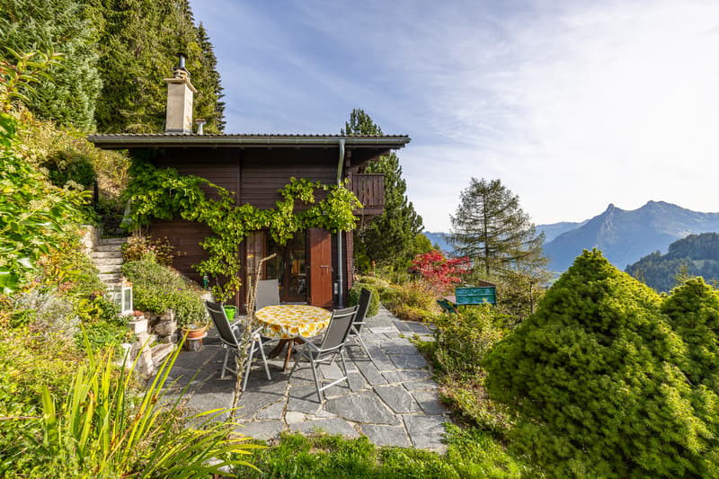 Une parenthèse de tranquillité en lisière de forêt et au pied du (5)