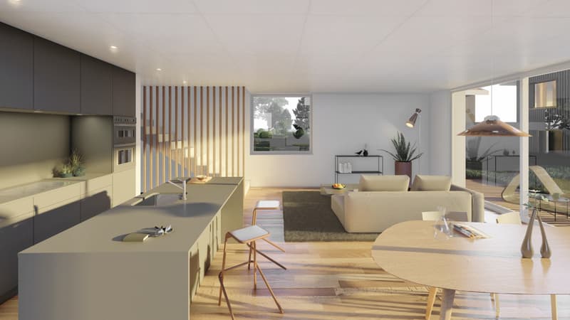 Villa individuelle neuve et de standing en Gruyère - Villa C (vente (3)