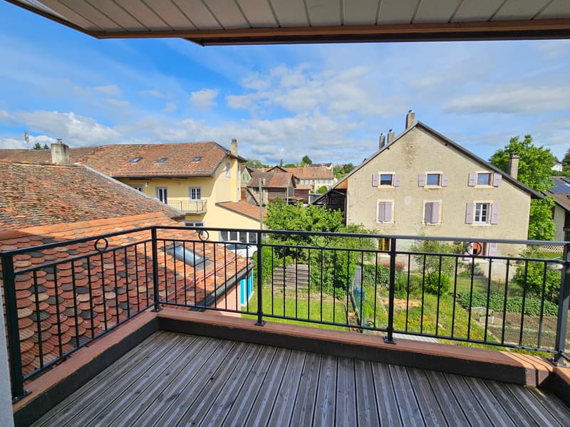 Appartement atypique avec terrasse au soleil couchant (7)
