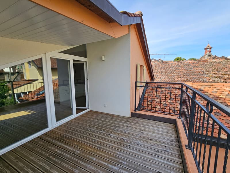 Appartement atypique avec terrasse au soleil couchant (2)