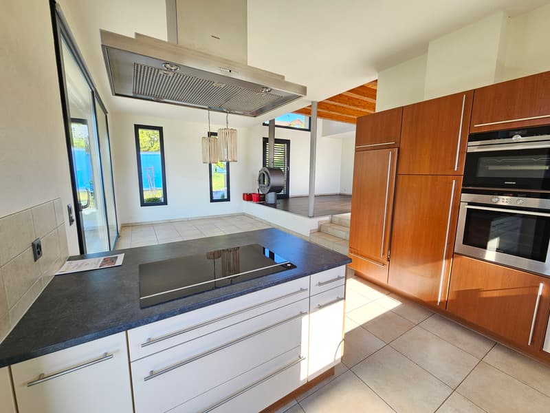 Individual villa (3)