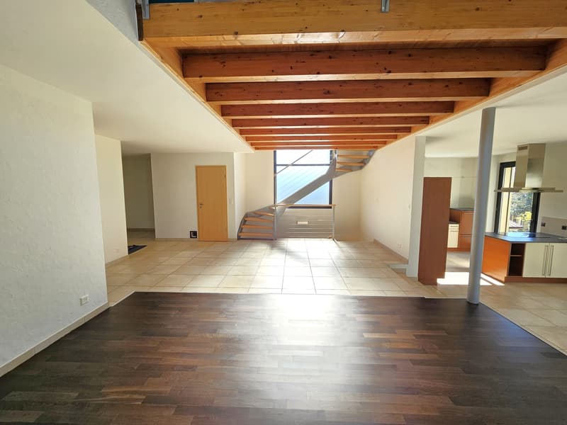 Individual villa (5)