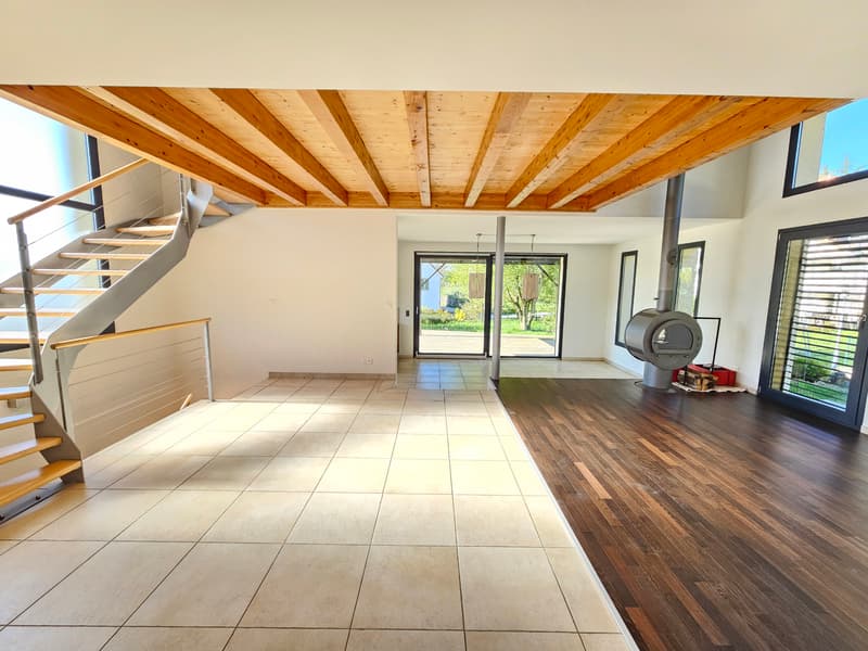 Individual villa (4)