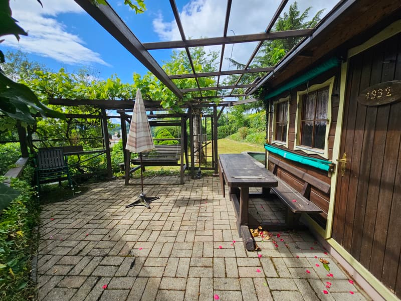 Individual villa (8)