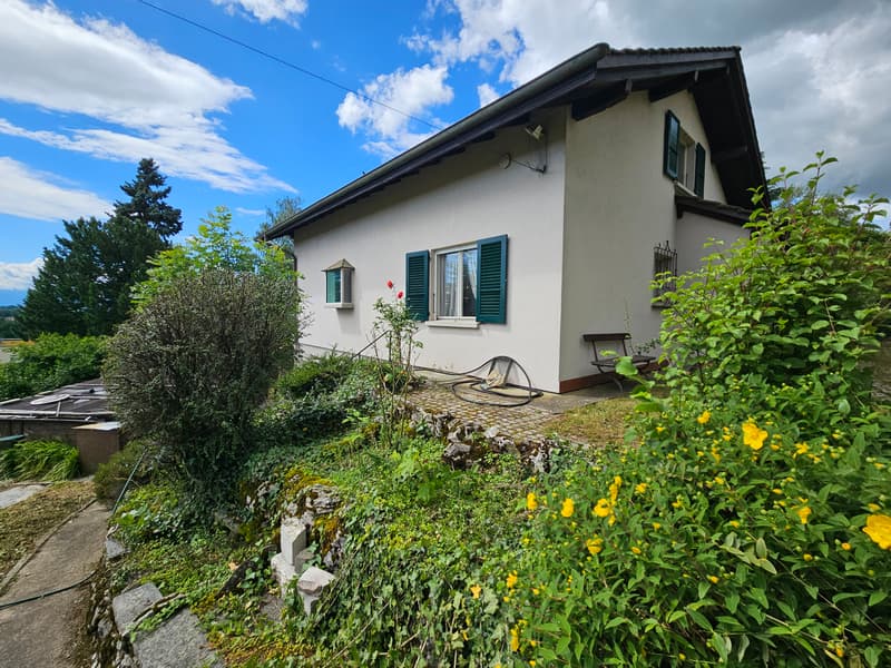 Individual villa (10)