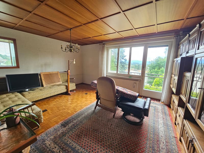 Individual villa (7)