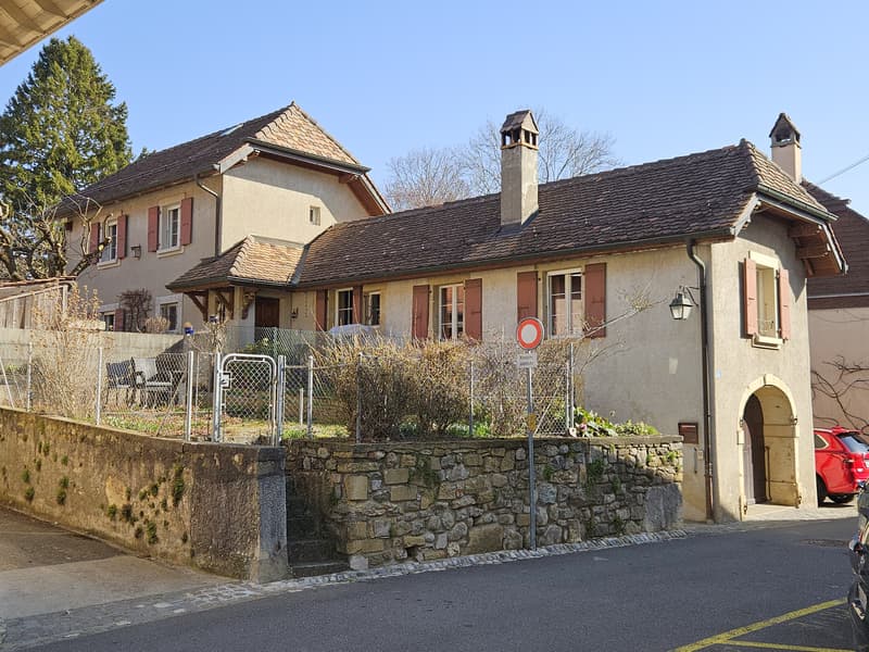 Village house with large garden (9)