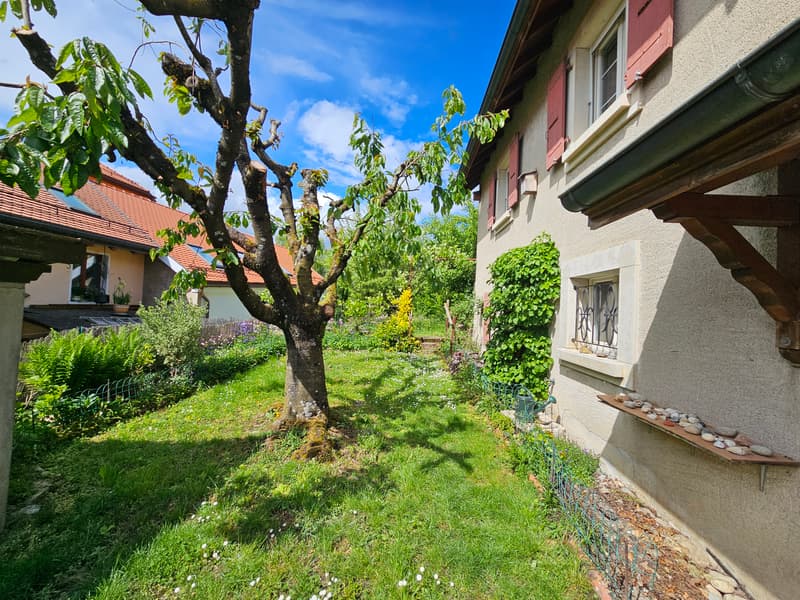 Village house with large garden (10)