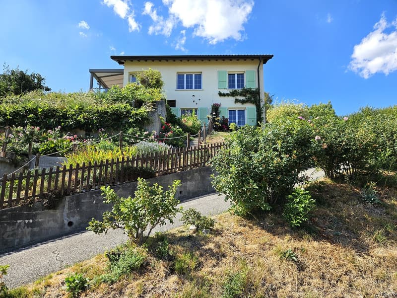 Villa individuelle avec vue panoramique sur la campagne et les Alpes (1)