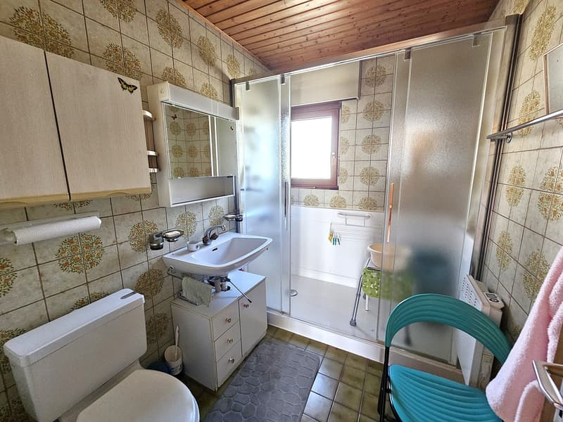 Villa individuelle avec magnifique dégagement sur la campagne et les Alpes (10)