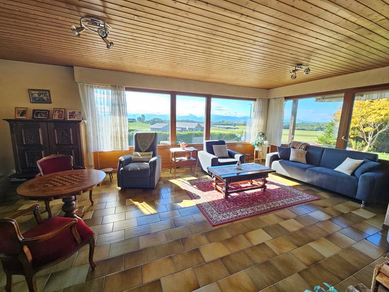 Villa individuelle avec magnifique dégagement sur la campagne et les Alpes (7)