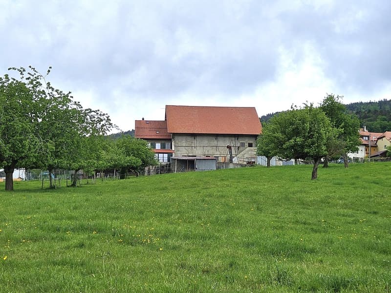 Maison villageoise et rural, env. 6'850 m3 (4)
