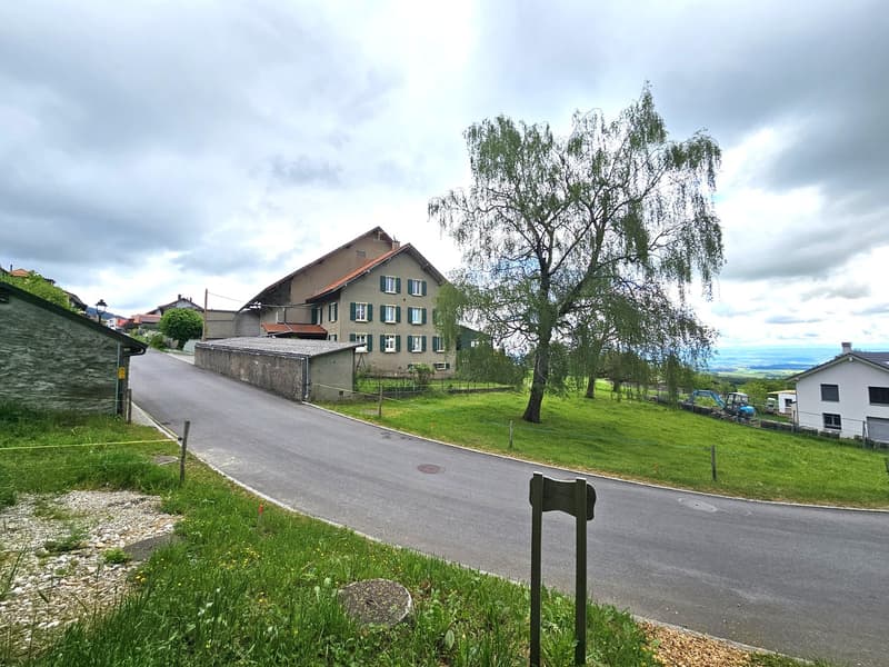 2'170 m2 en zone constructible (4)
