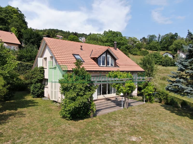 Villa individuelle avec vue sur le lac à VENDRE à Bourg-en-Lavaux (1)