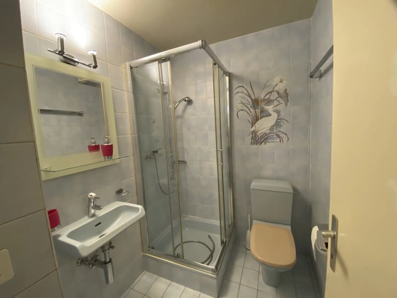 Duplex and attic apartment with 4.5 rooms and terrace (8)