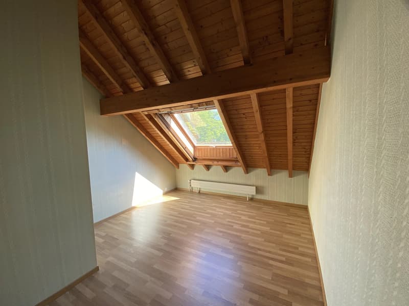 Duplex and attic apartment with 4.5 rooms and terrace (5)