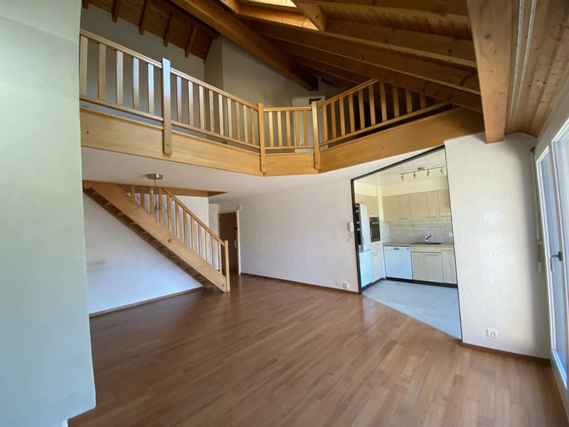 Duplex and attic apartment with 4.5 rooms and terrace (3)