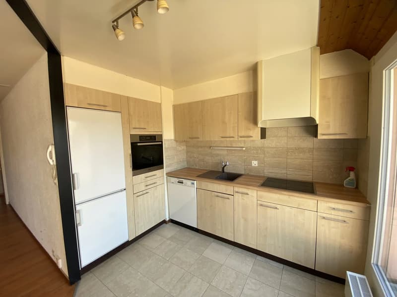 Duplex and attic apartment with 4.5 rooms and terrace (4)