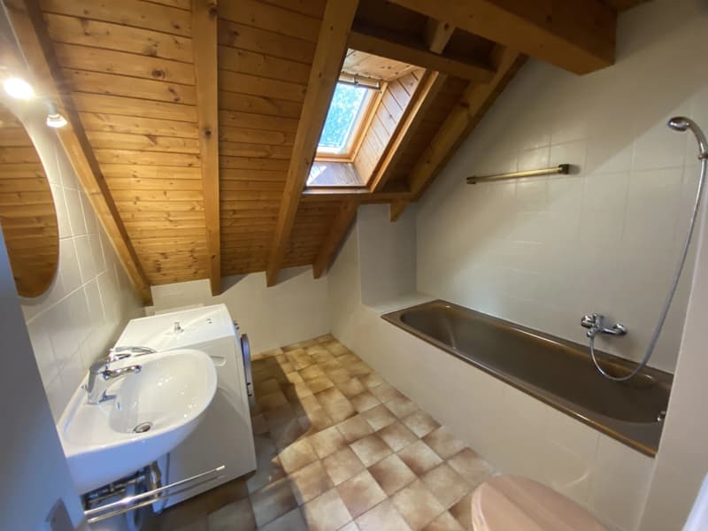 Duplex and attic apartment with 4.5 rooms and terrace (7)