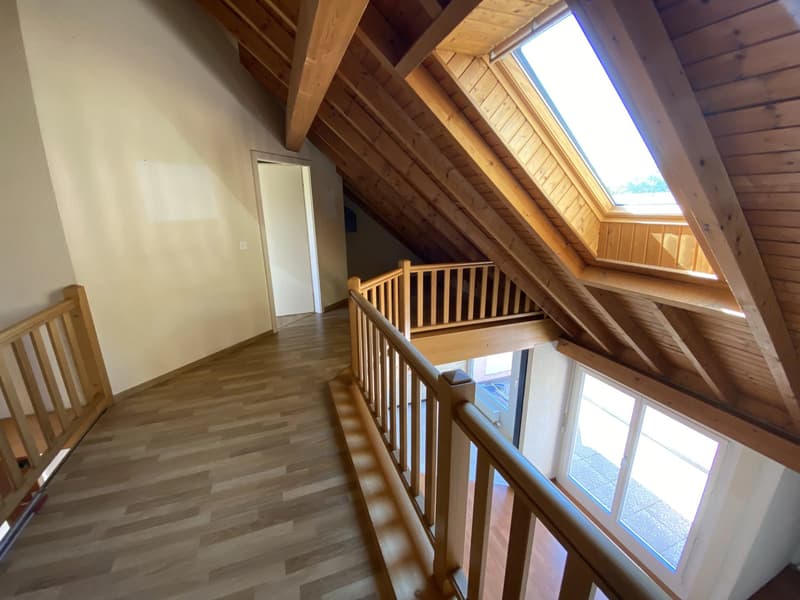 Duplex and attic apartment with 4.5 rooms and terrace (6)