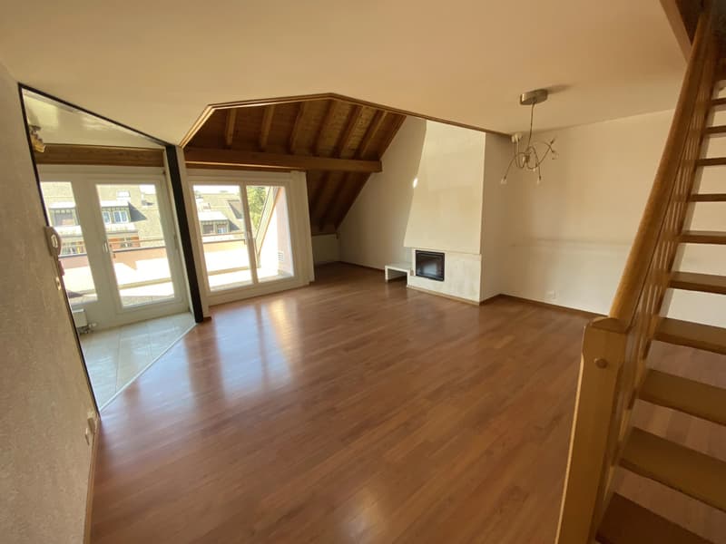Duplex and attic apartment with 4.5 rooms and terrace (1)