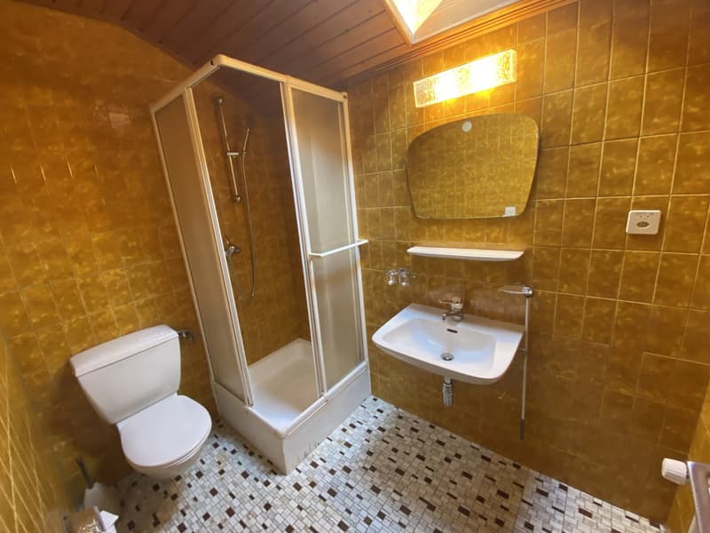 Charming 7-room house in Bex (6)