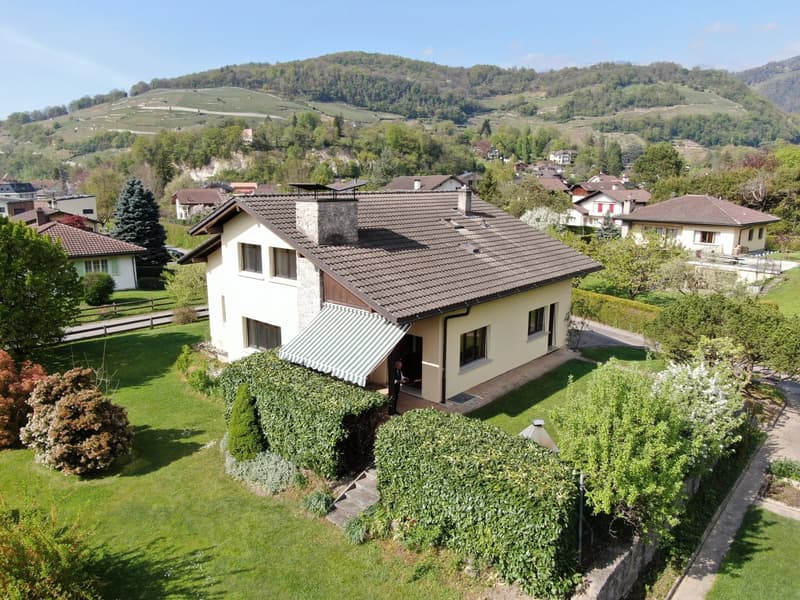 Charming 7-room house in Bex (10)