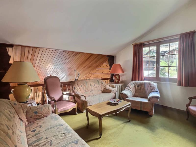 Large chalet ideal for a family - plot of 5'044 m2 (9)