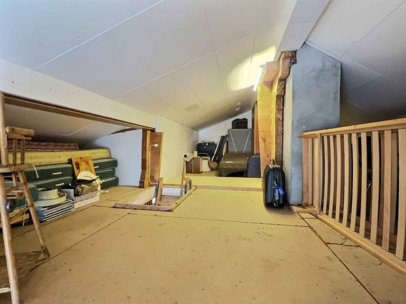 Large chalet ideal for a family - plot of 5'044 m2 (13)
