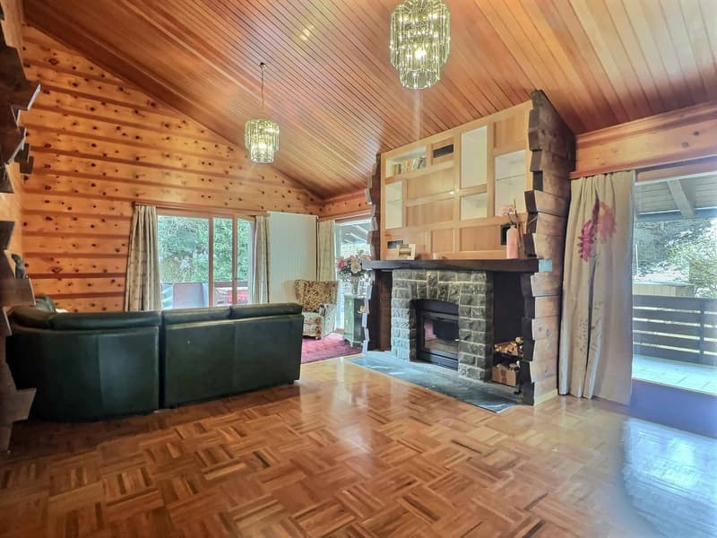Large chalet ideal for a family - plot of 5'044 m2 (2)