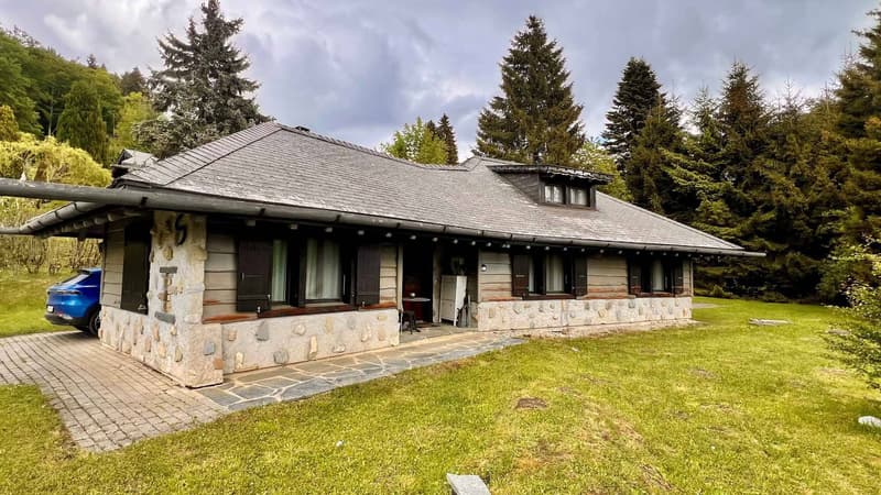 Beautiful chalet in Châtel-St-Denis! (1)