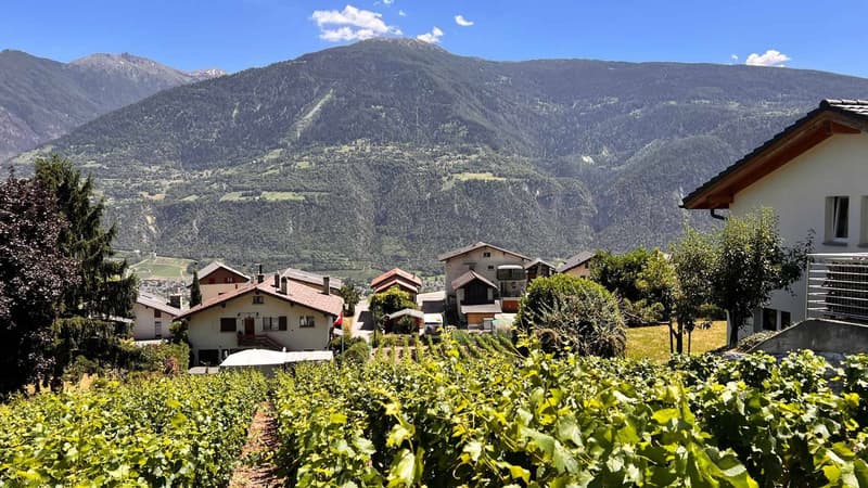 Terrain constructible sur la commune de Lens (1)