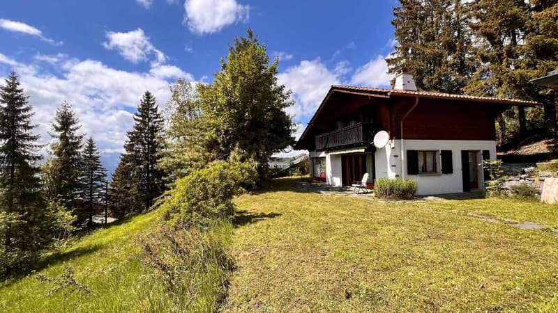 Villars/Gryon, in unmittelbarer Nähe zum Zentrum von Gryon! (2)