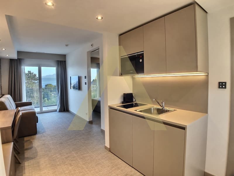 MAGNIFIQUE APPARTEMENT  MEUBLE DE 2P EN FACE EPFL & UNIL (9)