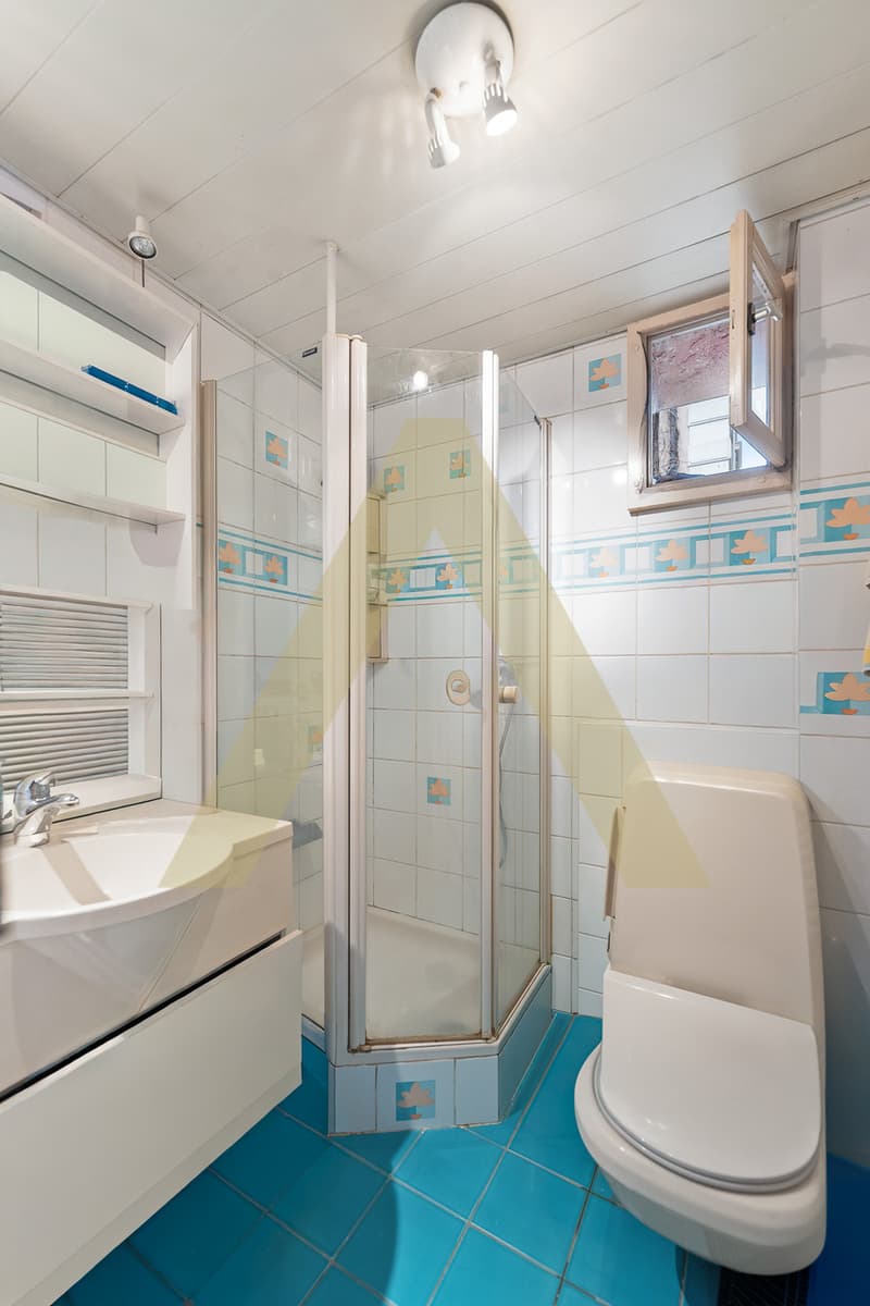 Townhouse with great potential - Lausanne city center (5)
