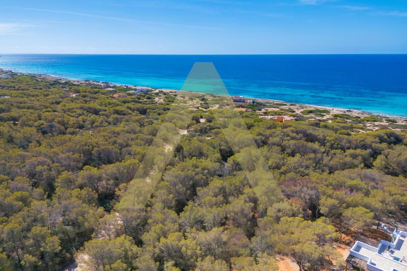 Exceptional villa with sea view and tourist license (2)