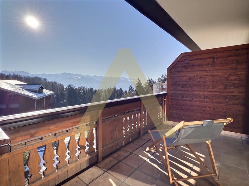 Appartamento arredato di 3,5 locali, luminoso con ampio balcone e accesso spa (3)